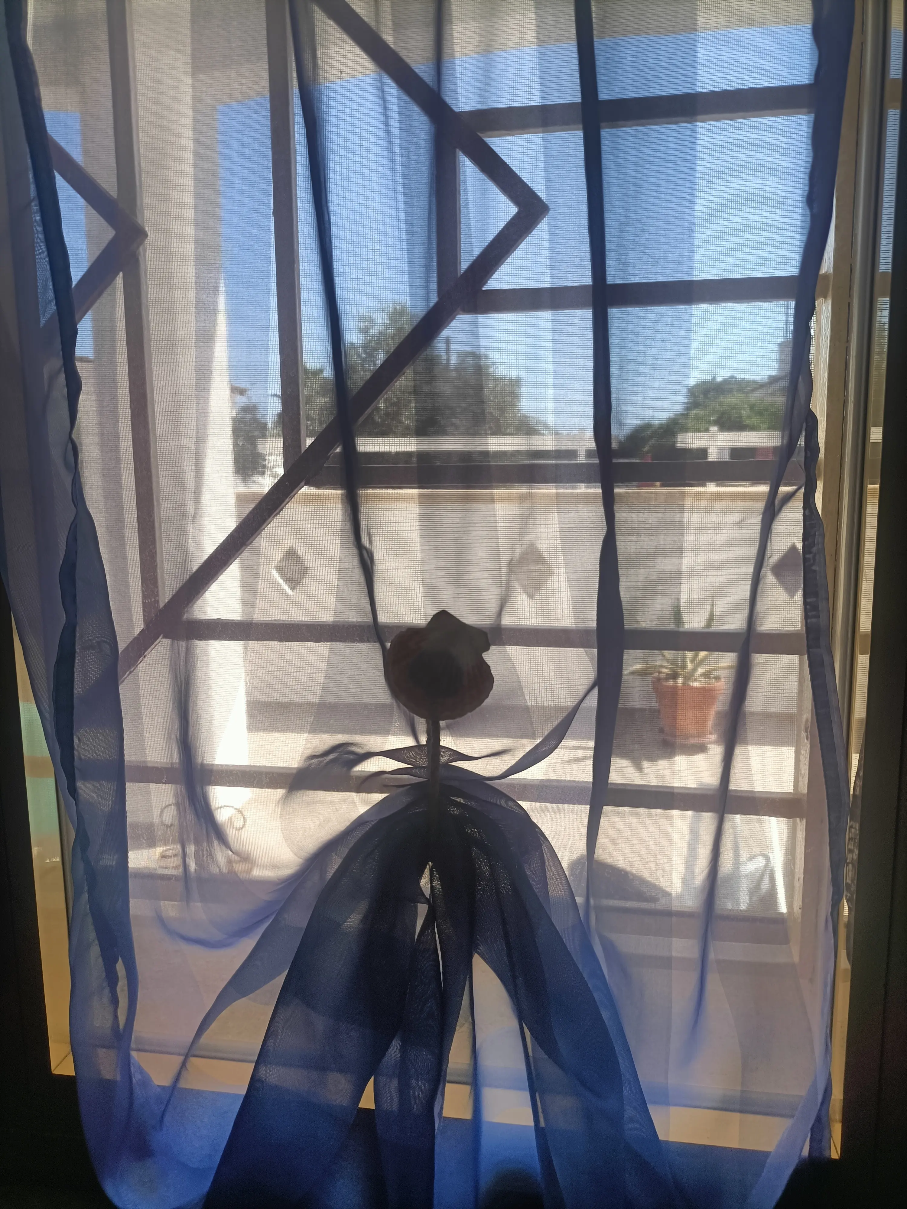 Finestra con vista