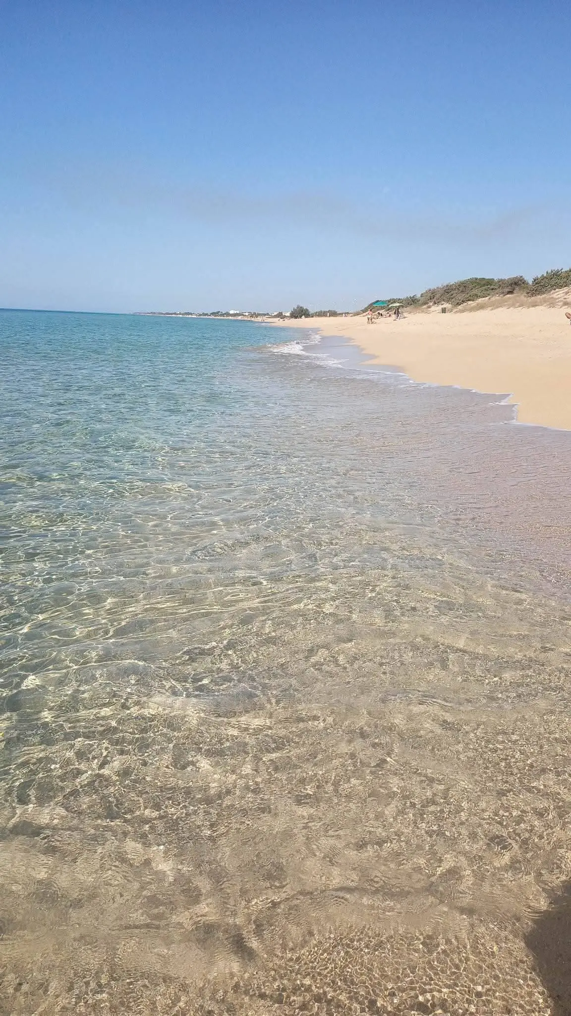 Vista mare